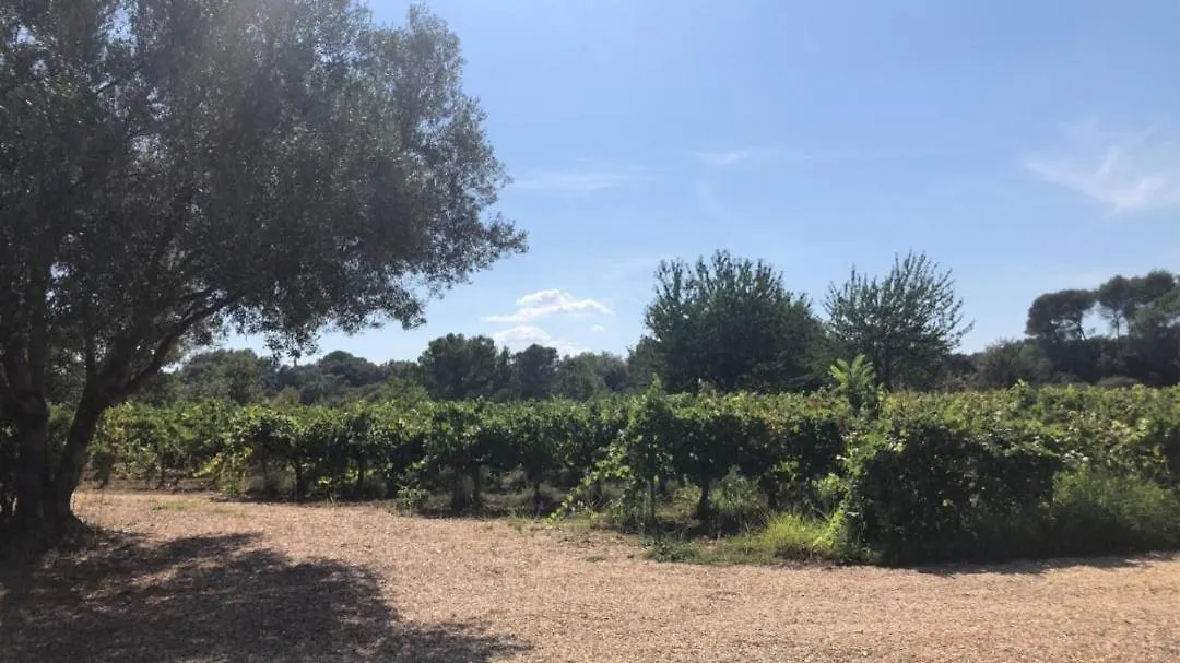 Le Cabanon Du Capelan Villa La Motte  0*, La Motte (Var)