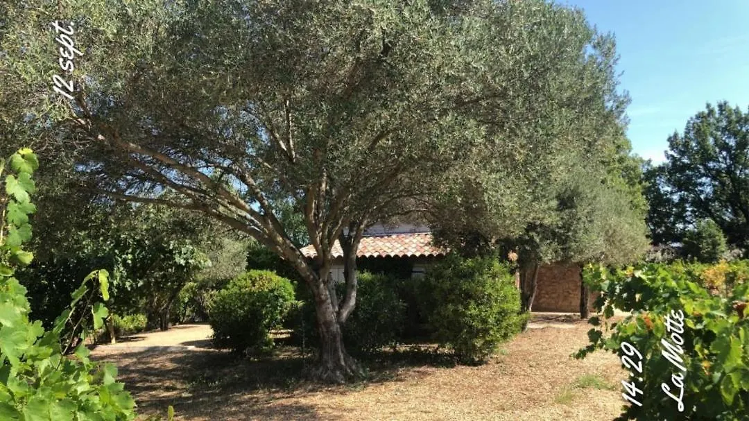 Le Cabanon Du Capelan Villa La Motte  France