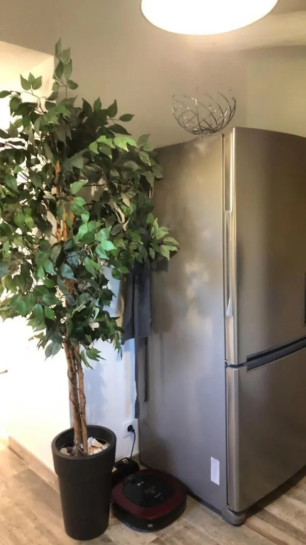 Le Cabanon Du Capelan Villa La Motte  La Motte (Var)